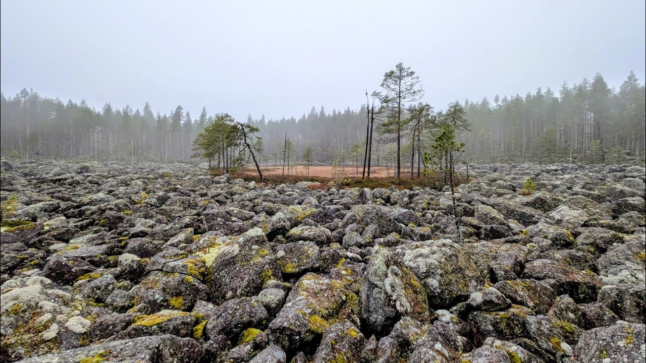 Walking in Finnish nature park Harjuntakanen