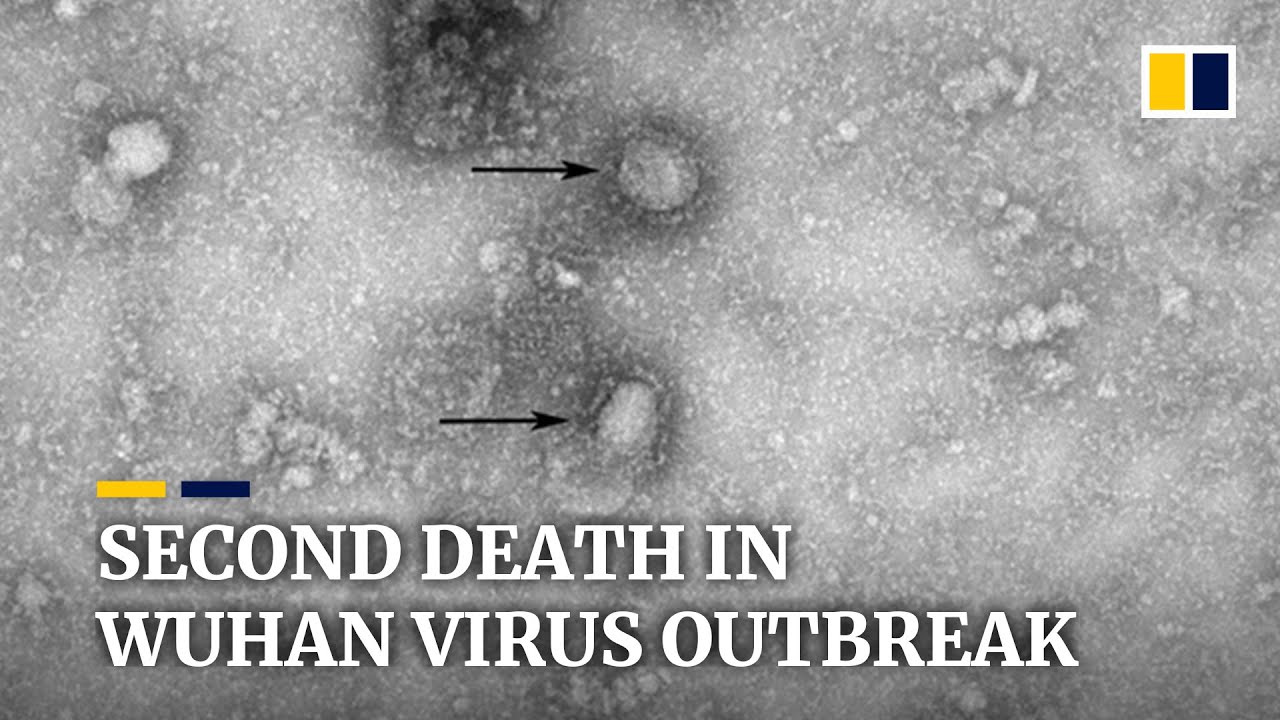 Wuhan virus: second death reported in China as Japan finds first case