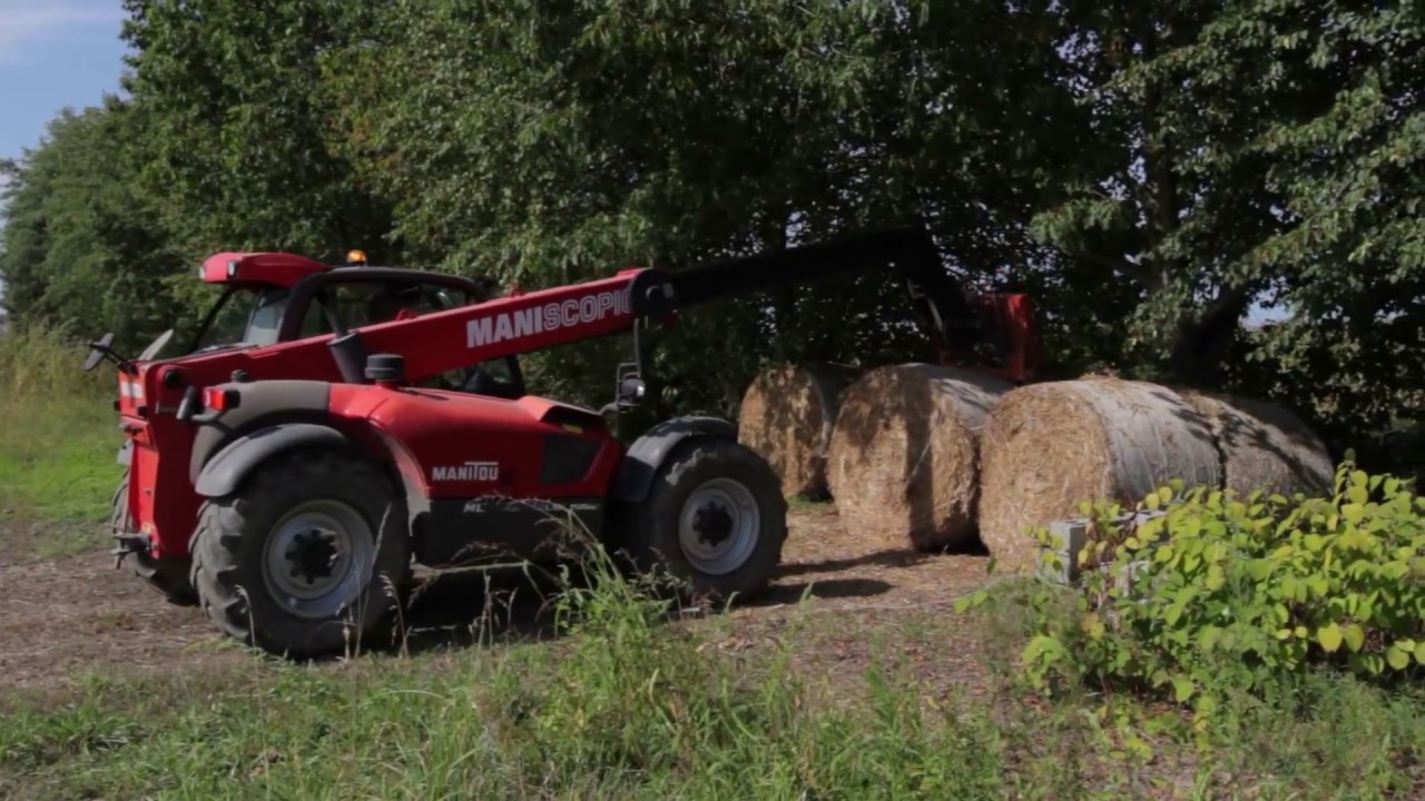 One day in a farm