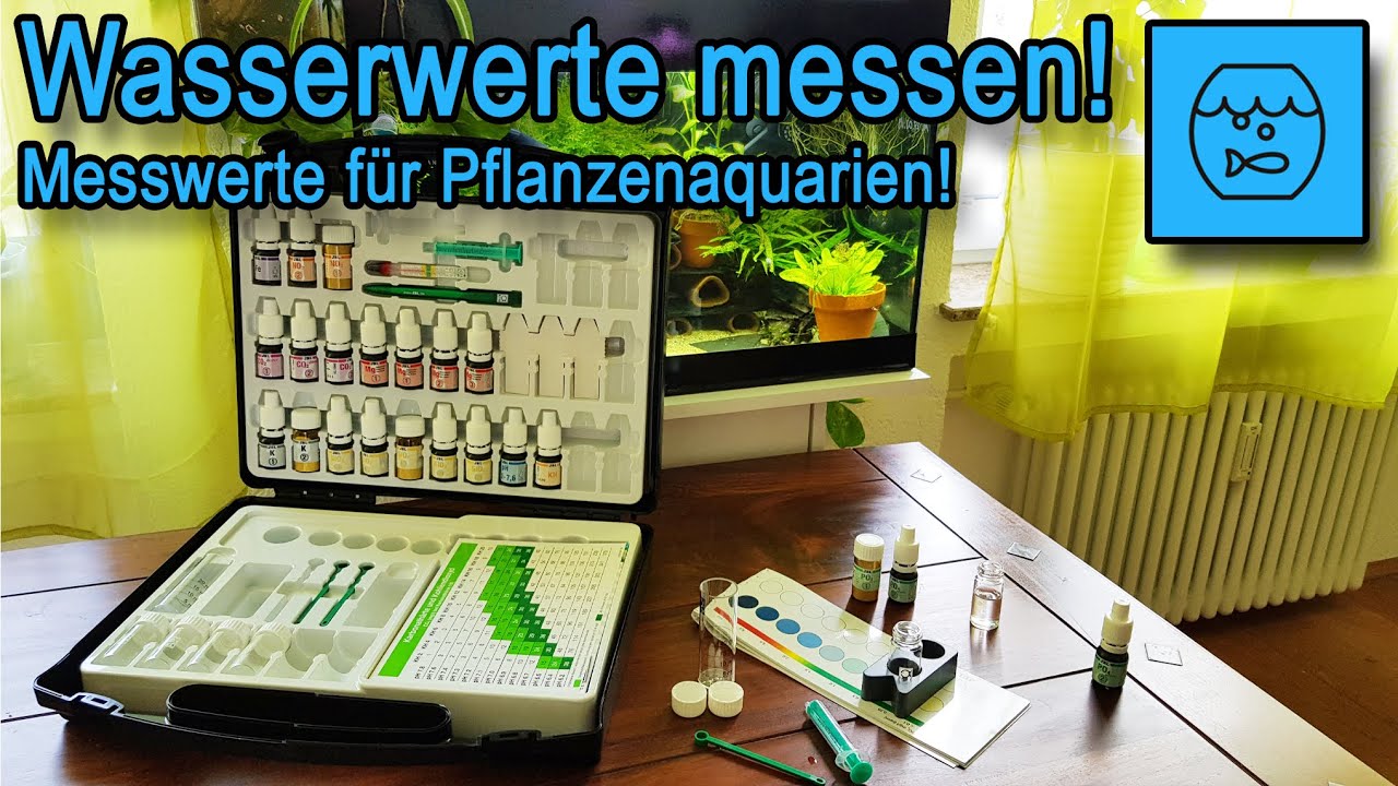Wichtige Aquarium Messwerte - Wasserwerte im Pflanzenaquarium mit dem JBL ProScape Testlab messen
