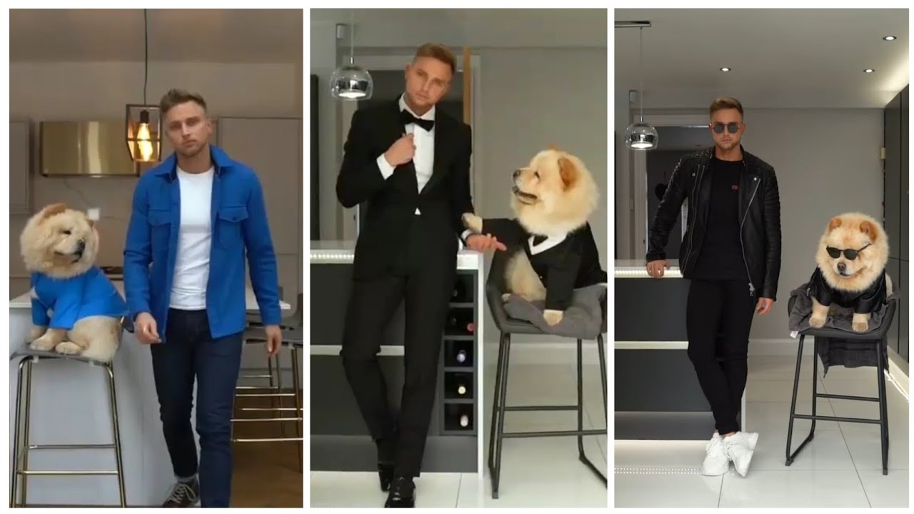 Touch It Coolest Dogs and owners outfit compilation video 🔥
