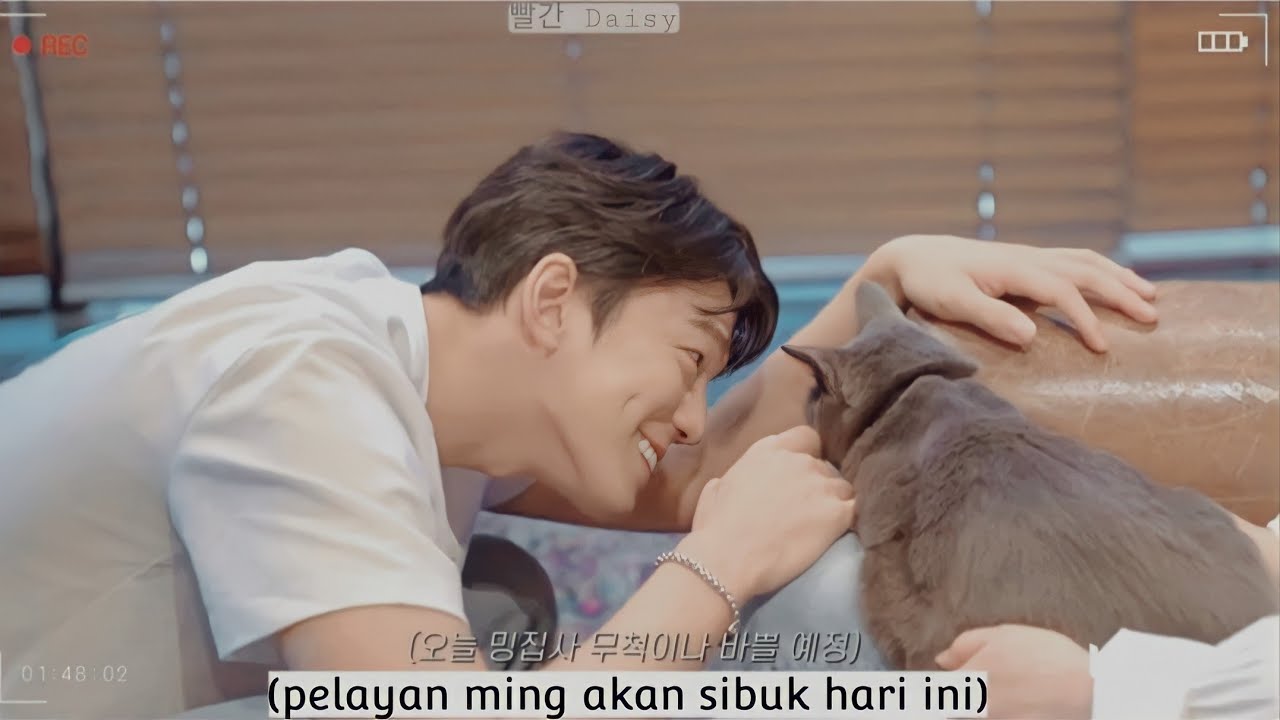[SUB INDO] Kim Min Gue's Cat