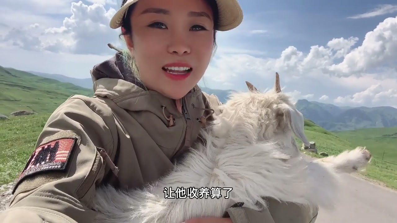 姑娘在新疆路上捡到只走散的小山羊，找不到主人这可咋办？