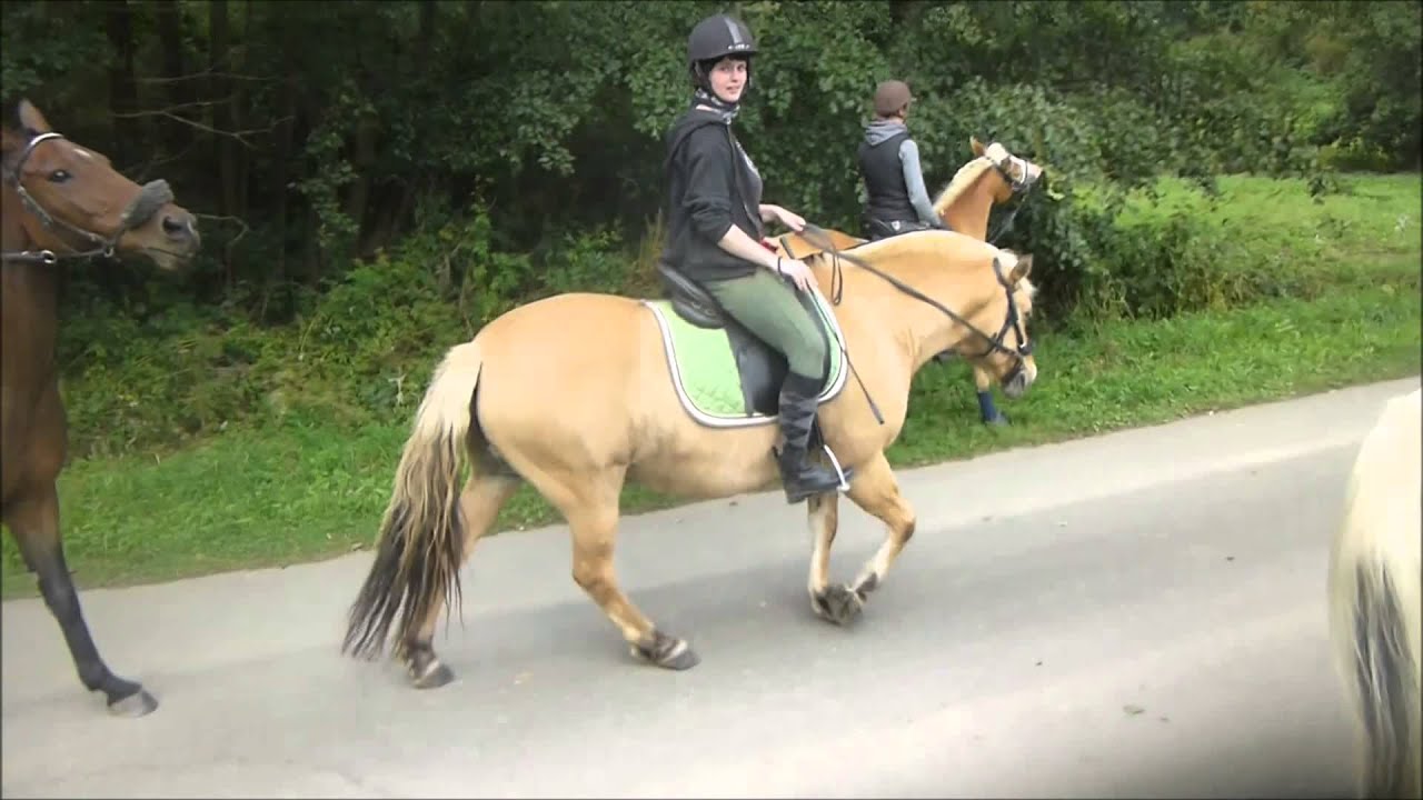 Pony Parade! - Abschlussritt
