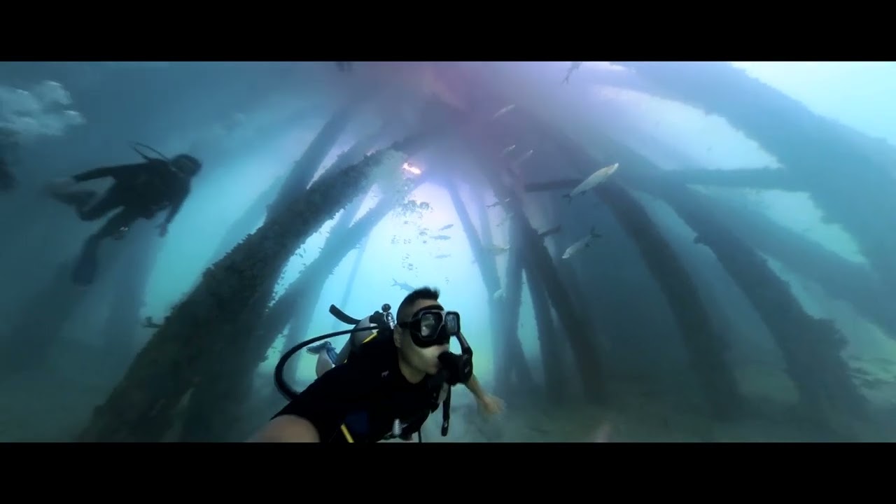 6/10/2023 Puerto Rico, Vieques, Mosquito Pier