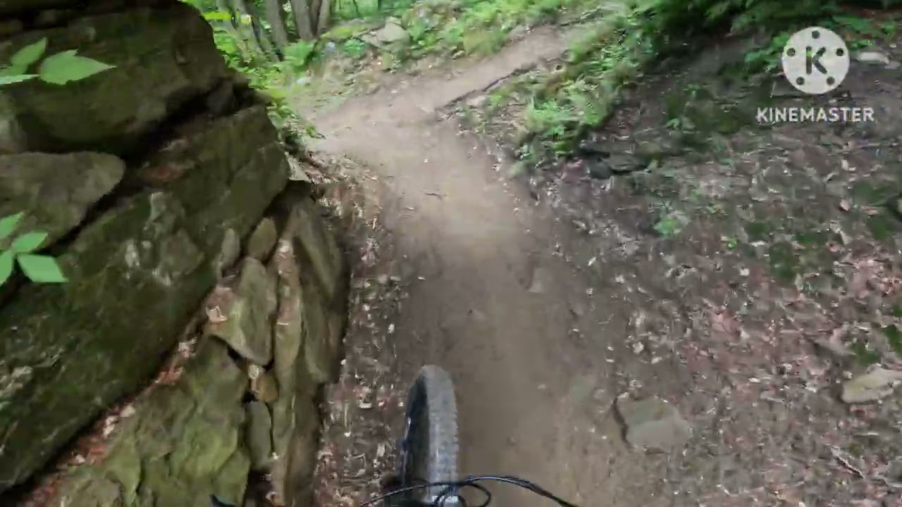Saltimbanco - Viola St. Gréé Bike Park