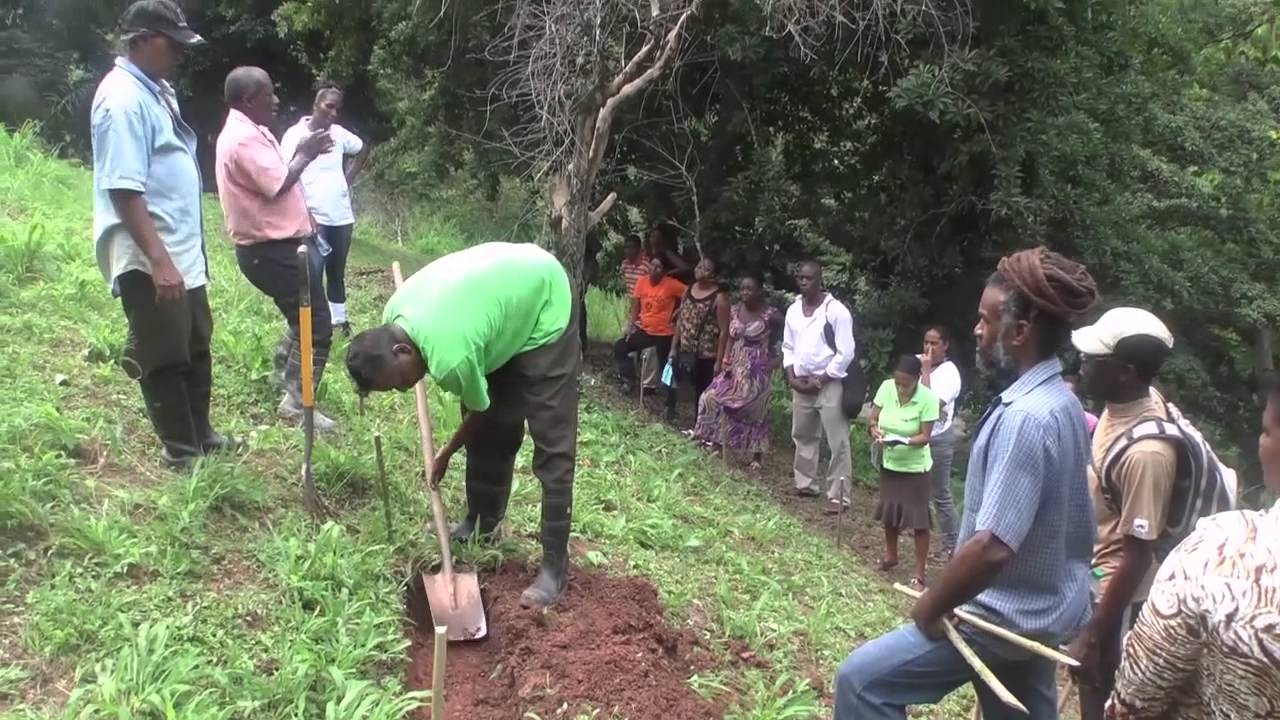 Techniques in erosion control