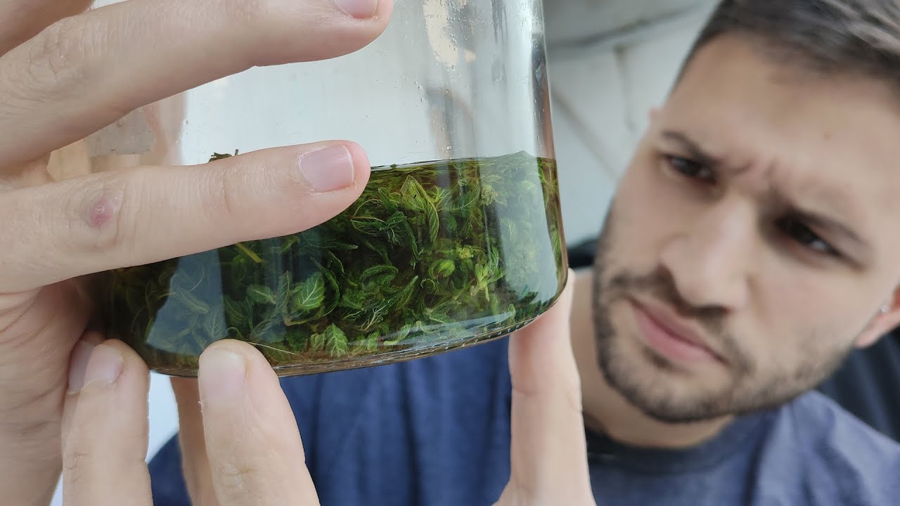 Como hacer aceite medicinal en casa - El Alquimista