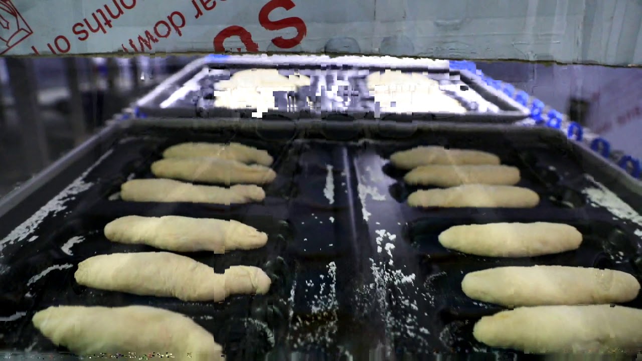 Hamburger,hotdog bread production line