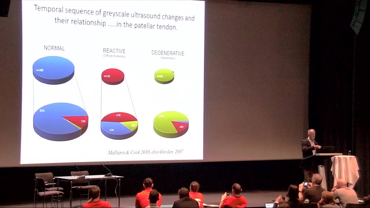 History and future of tendinopathy - Sports Medicine Congress 2016