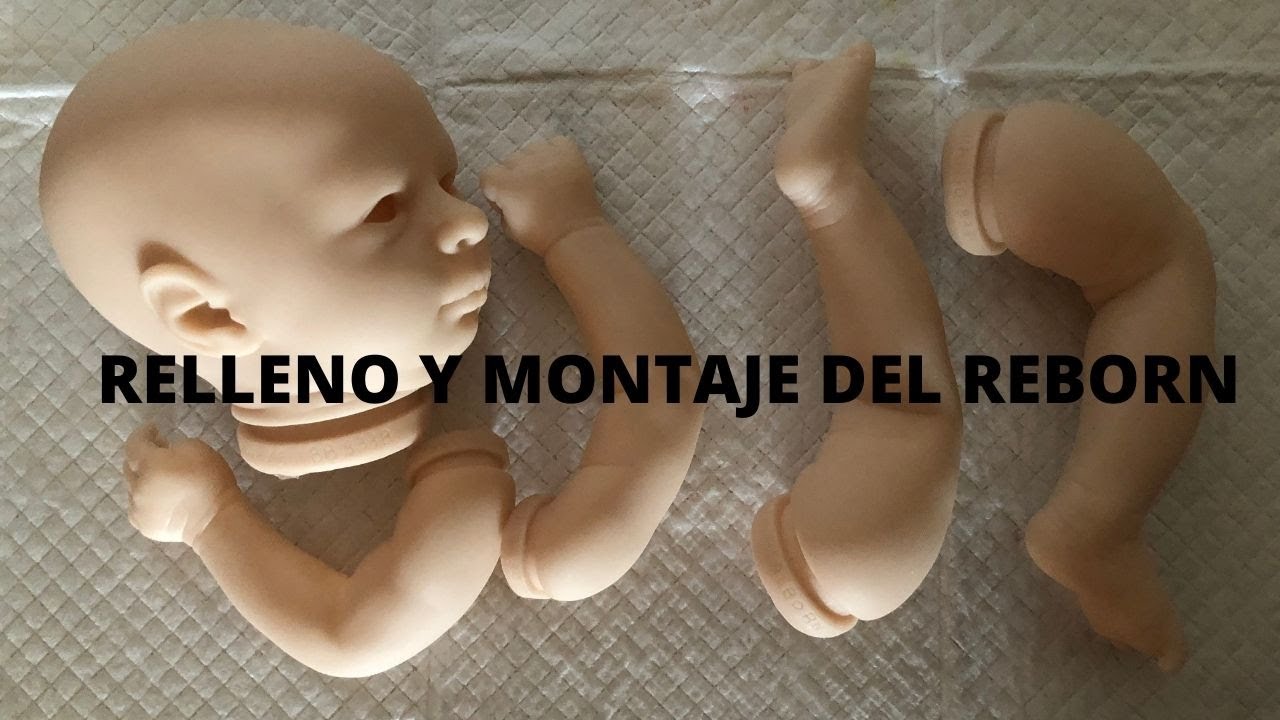 11º Tutorial Reborn con Génesis: RELLENO Y MONTAJE DEL REBORN