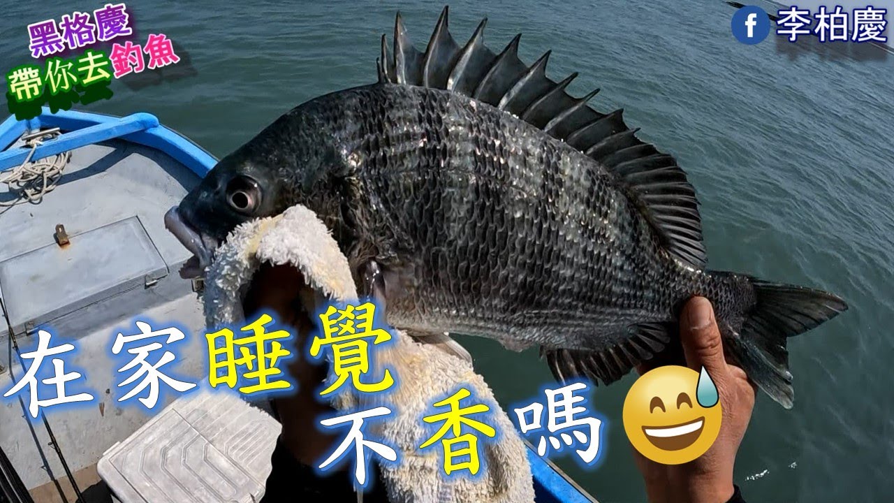 超恐怖的一天~大家都... #釣魚#黑鯛#黑格#敲底#郎蝦#筏釣#泡綿船#李柏慶#fishing