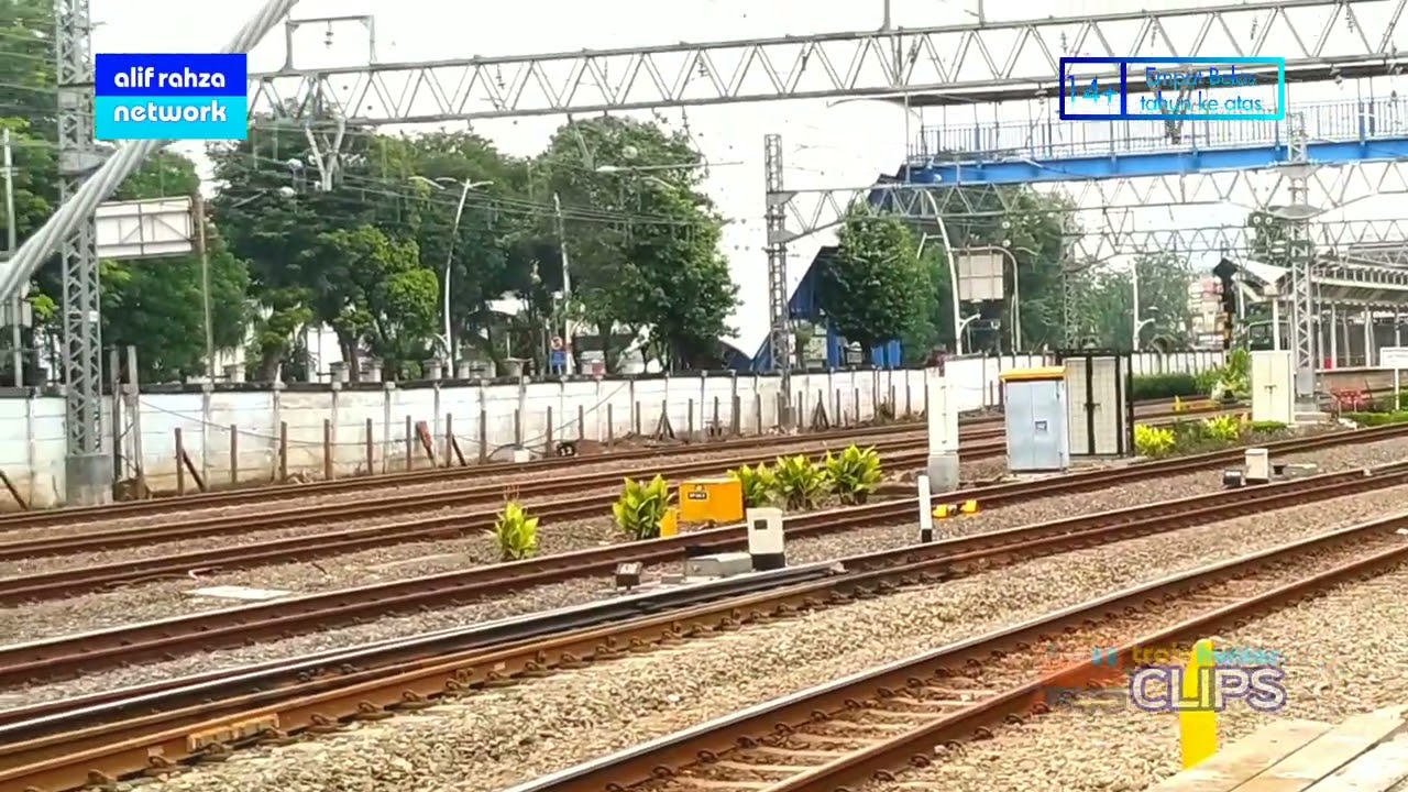 WAHH Double Head Kaleng Setrum | TRAIN HUNTER