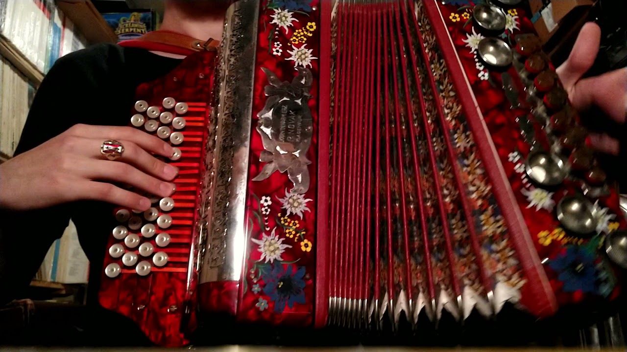 Janie Polka