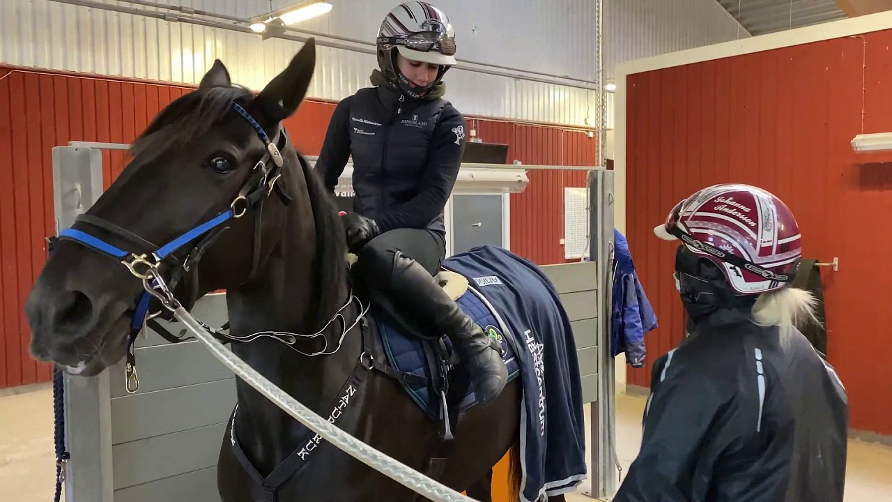 Moment från utgången travsport