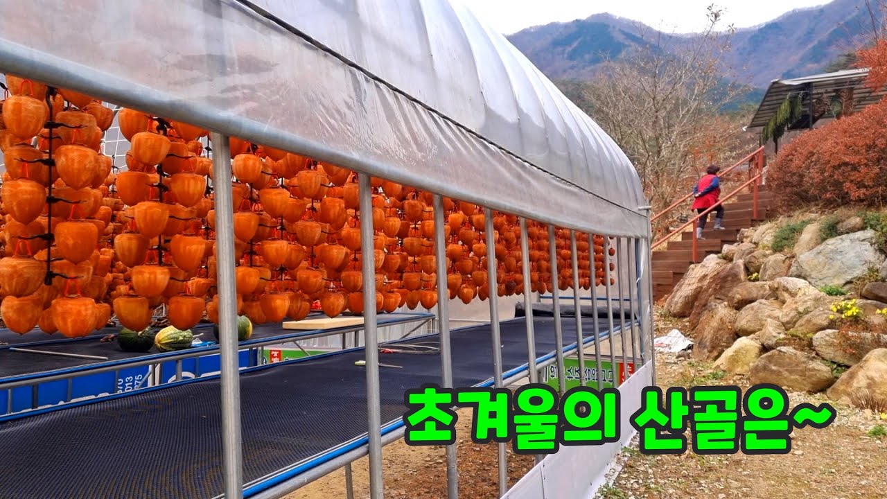 초겨울 산골에선! 맛과 향이 환상적인 약식혜만들기~ 1년에 1번은 먹어줘야해요~