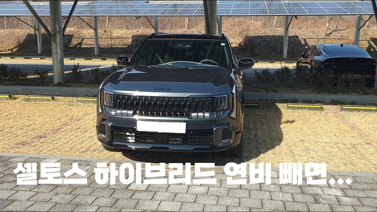 셀토스 하이브리드 시승기