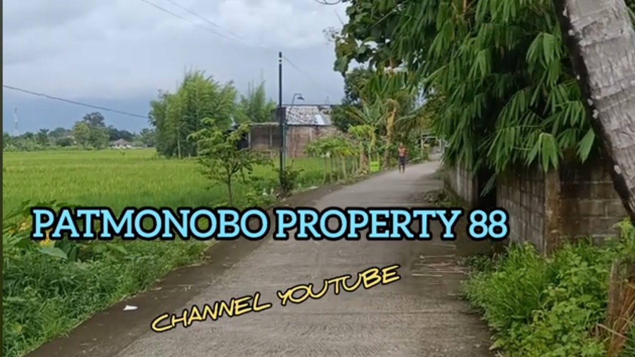 Tanah SHM 600 m Ld 10 m ± lok panjang Rejo Pundong Bantul Yogyakarta (500 RB )
