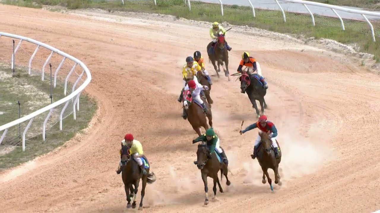 🏇🏽 Đua Ngựa 11h00 01-01-2021 - Horse Racing in Dai Nam Racing Complex