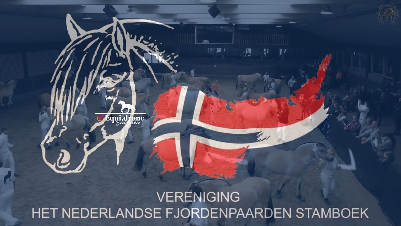 Impressie film van de Centrale keuring 2022 van de Fjorden stamboek