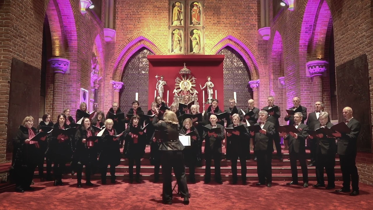 Chór Basilica Cantans - 