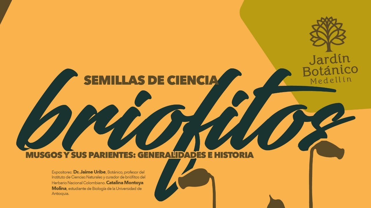 Semillas de ciencia: Briófitos, musgos y sus parientes