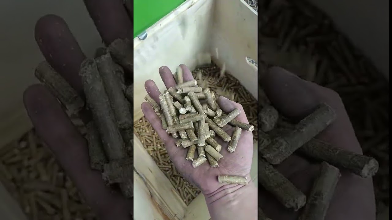 chicken manure rice husk pellet making machine for fuel pellets waste wood pellet granulator