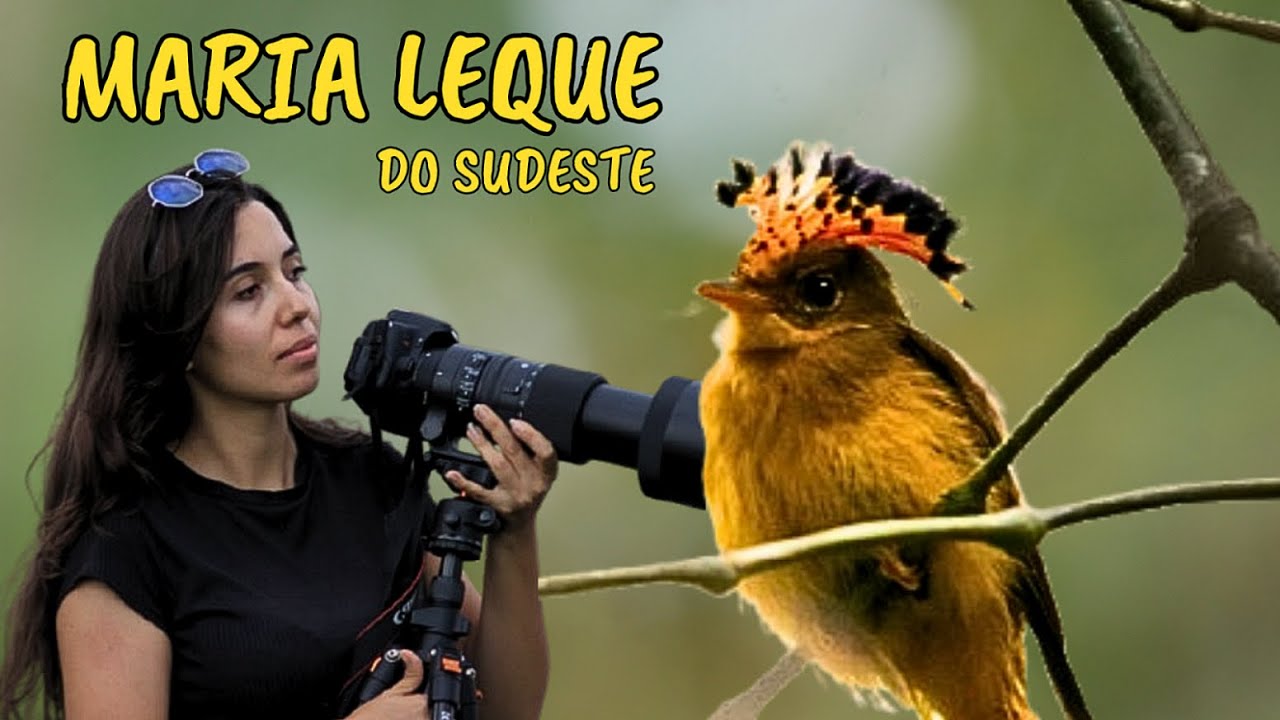 Maria leque do sudeste