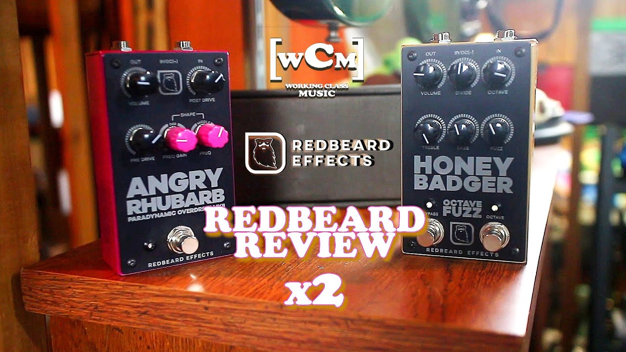 RedBeard Effects Combo Review (Angry Rhubarb/Honey Badger) | Working Class Music