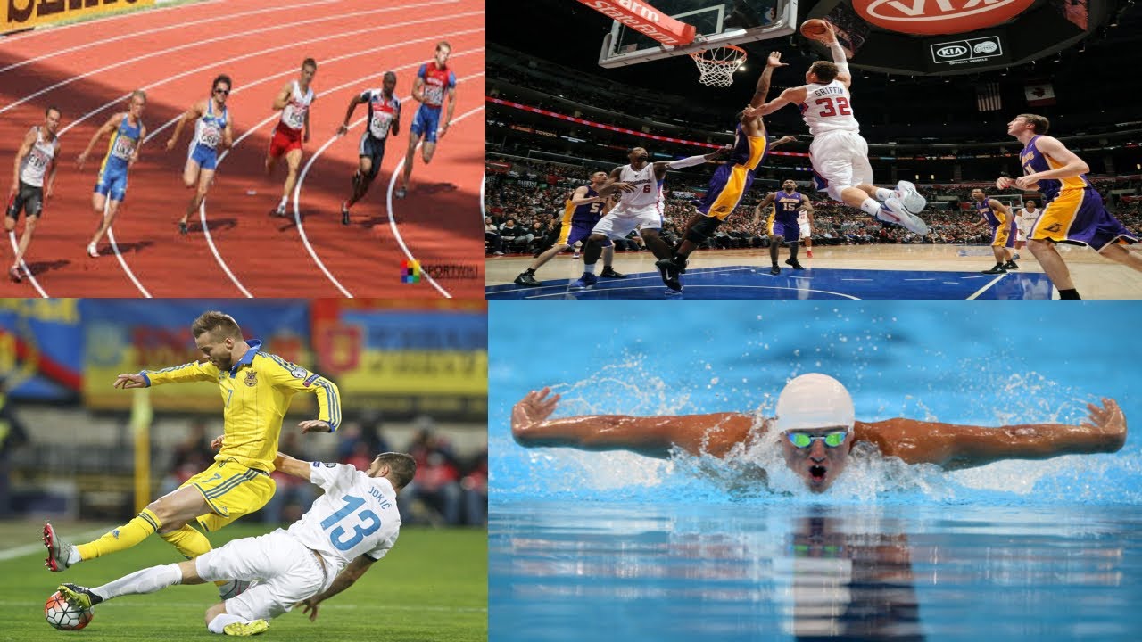 Найпопулярніші види спорту