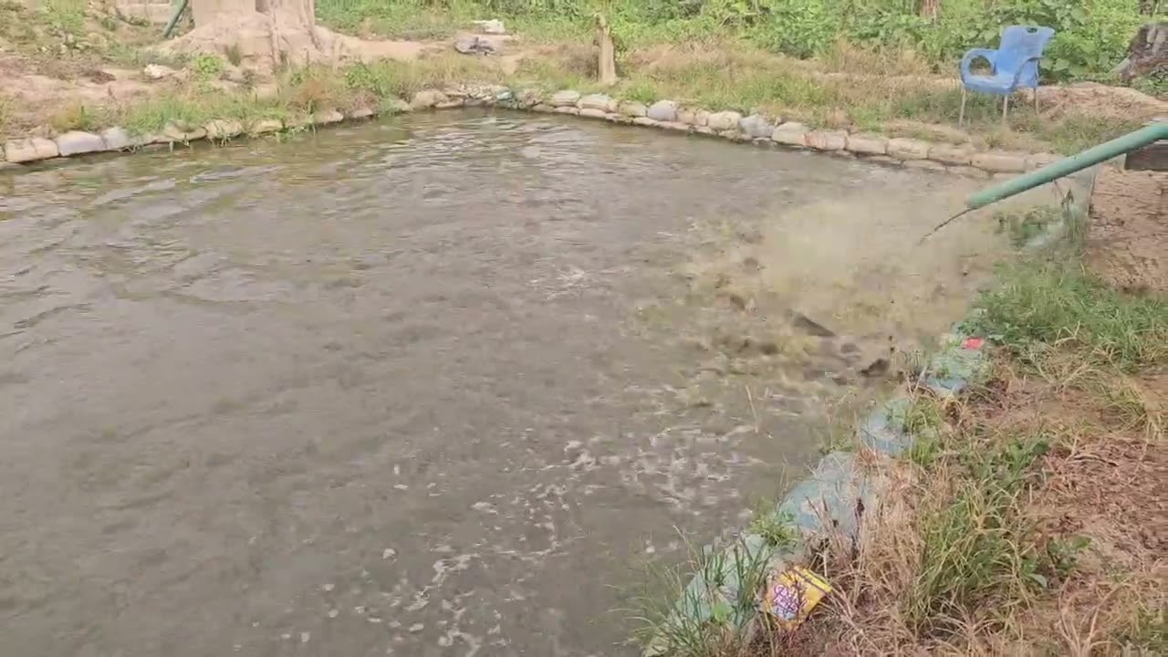 The Secret Behind Every 1 Ton Fish Harvest