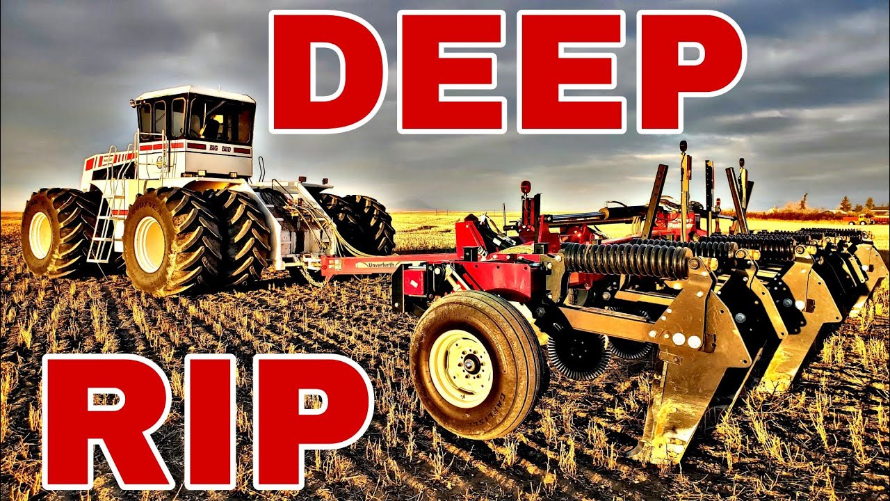 #bigbud #bigtractor  600HP BIG BUD Deep Ripping｜FRACTURE That Hard Pan!!