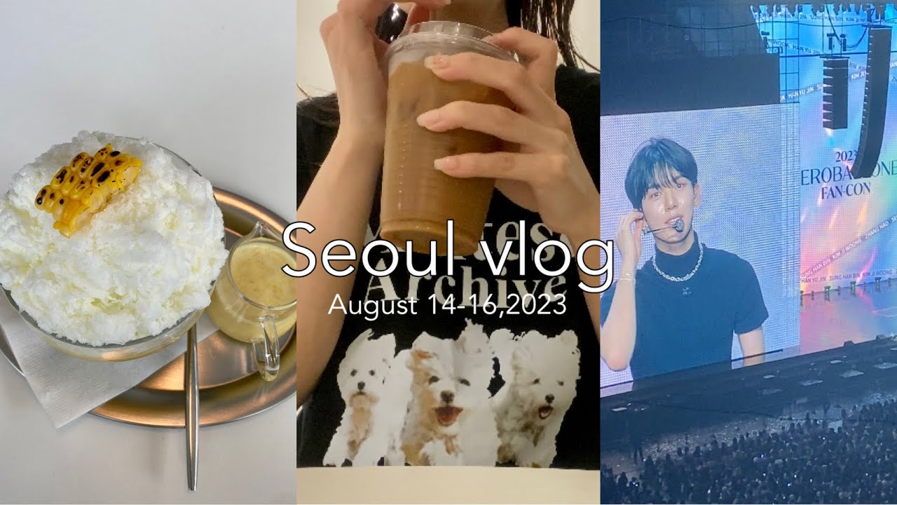 [vlog] 夏の一人韓国旅行 | 望遠| 狎鴎亭 | 梨泰院| 現代ソウル| ZB1ペンコンに参戦💘
