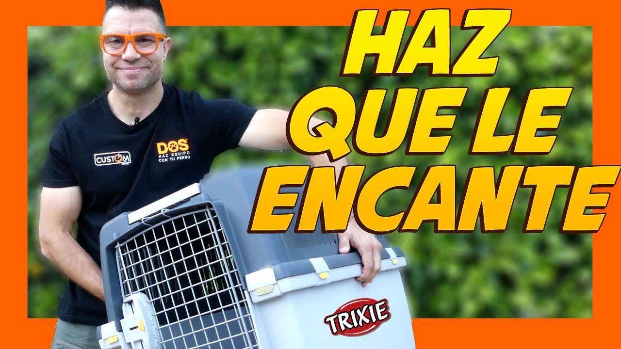 Cómo Habituar al PERRO a usar Transportín 🐶| Consejos Educación Canina 📝