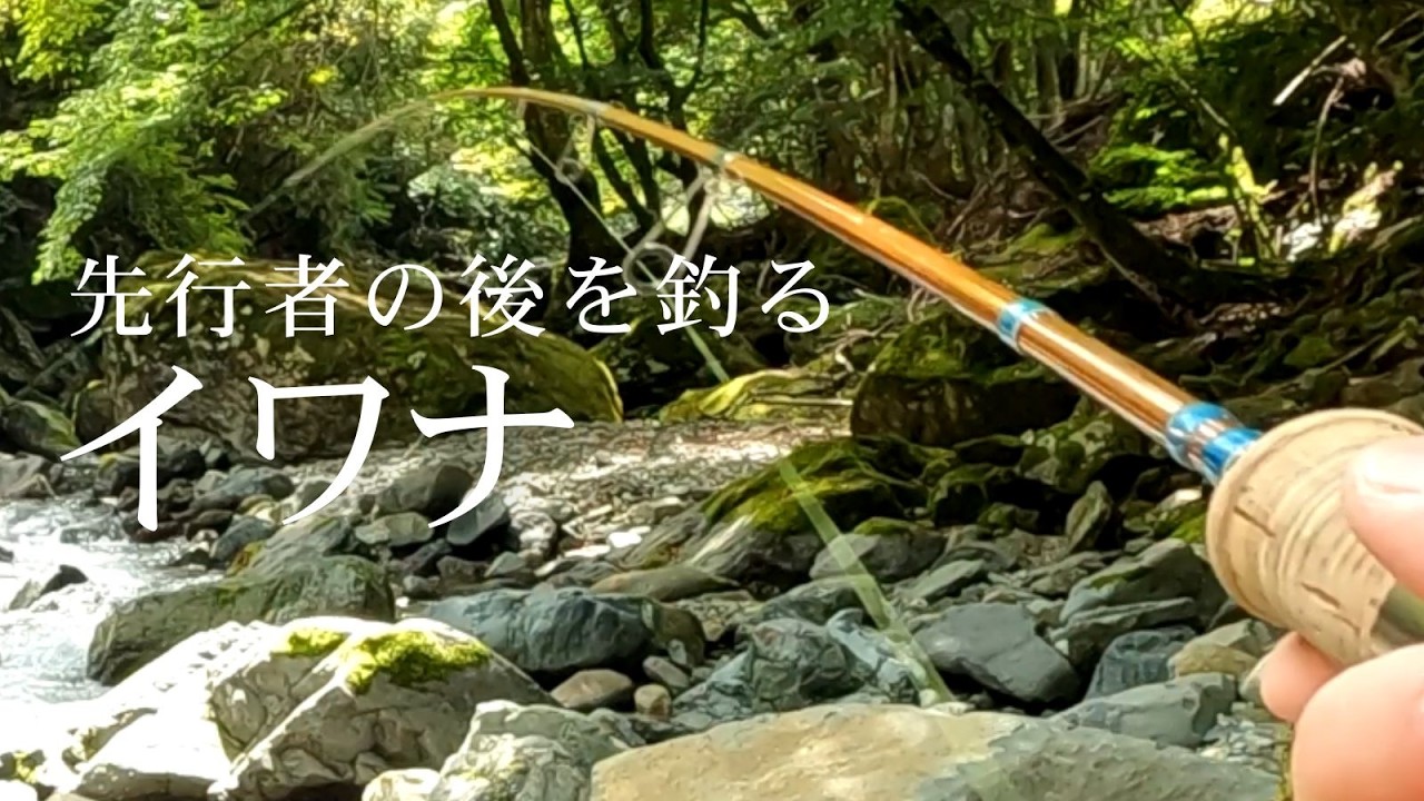 【渓流ルアー】先行者後でも釣れた！源流域の岩魚｜Mountain Stream Lure Fishing: Native Charr after pressure