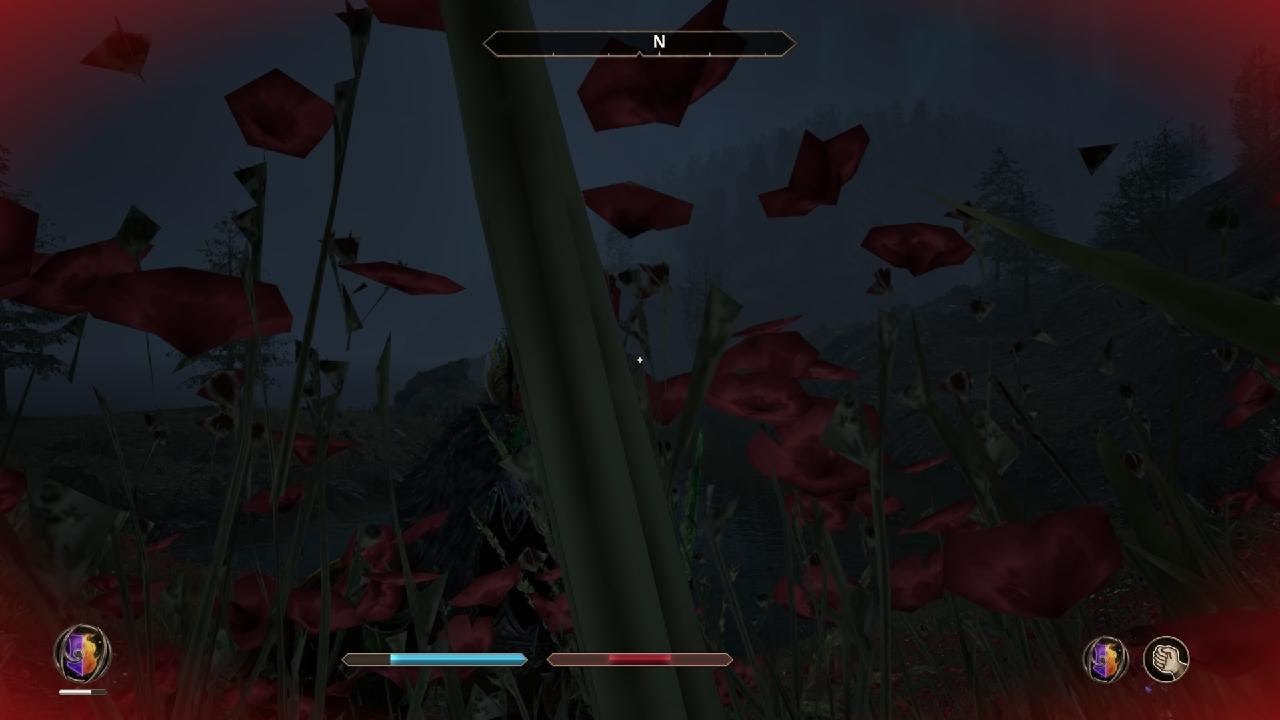 The Elder Scrolls IV: Oblivion Remastered_20260228115957