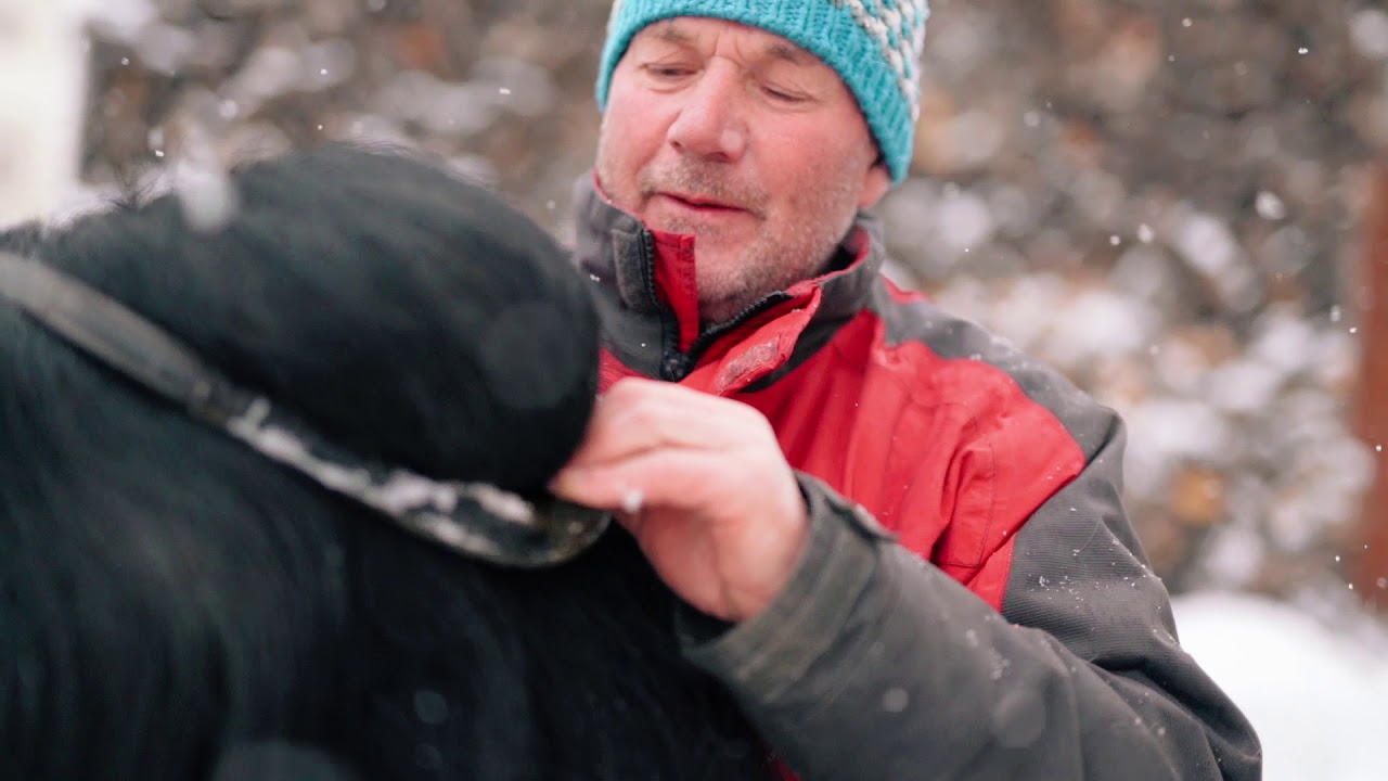 Pferdekutscher Weissensee
