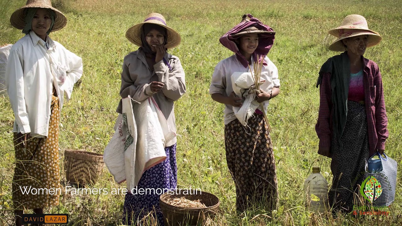 Earth Health and Sensibility