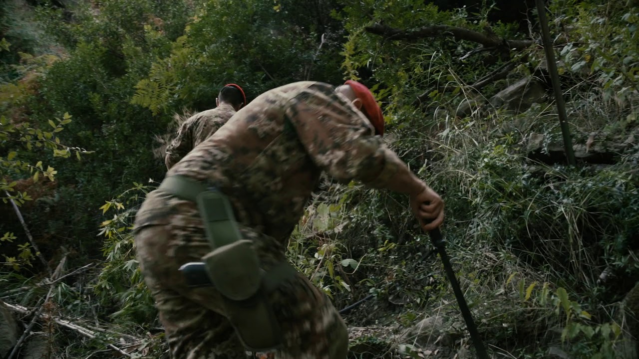 Tra le campagne dell'Aspromonte dove si coltiva la marijuana in Calabria