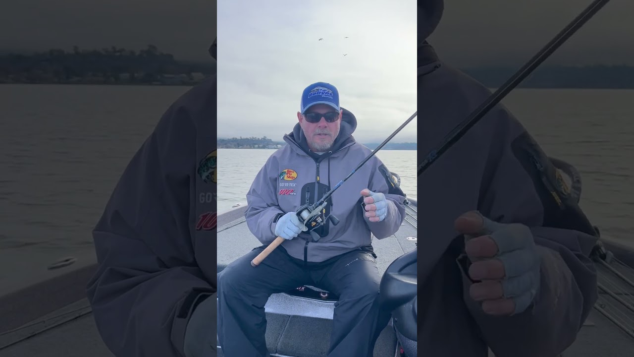 Dobyns Rods most versatile! Champion XP 734C FH!
