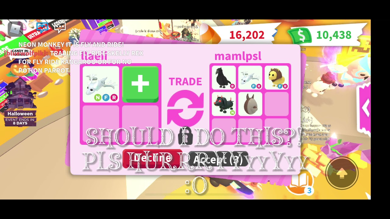 SHOULD I DO THIS FOR MY NEON GHOST DRAGON?!