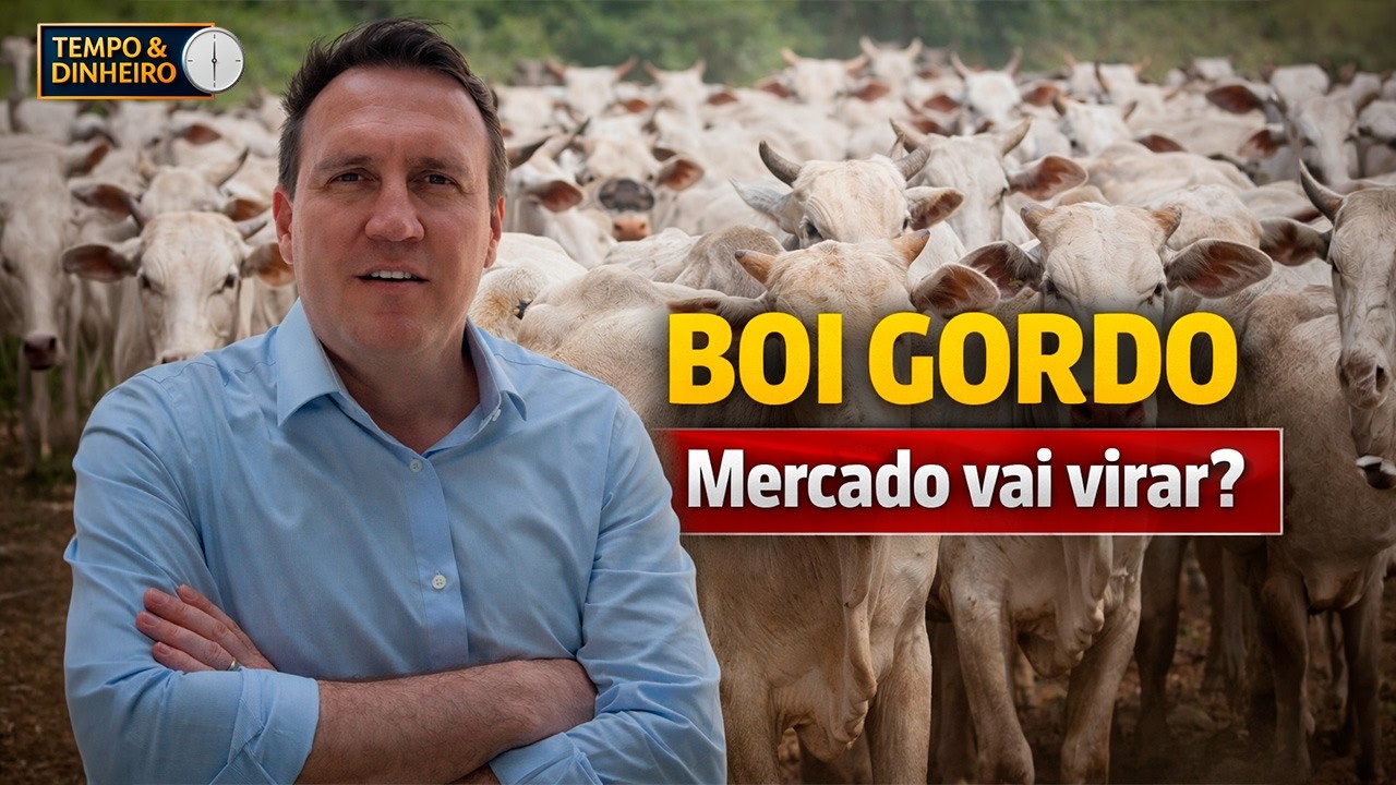 Boi gordo com tendência de alta? Thiago Bernardino , do CEPEA, comenta