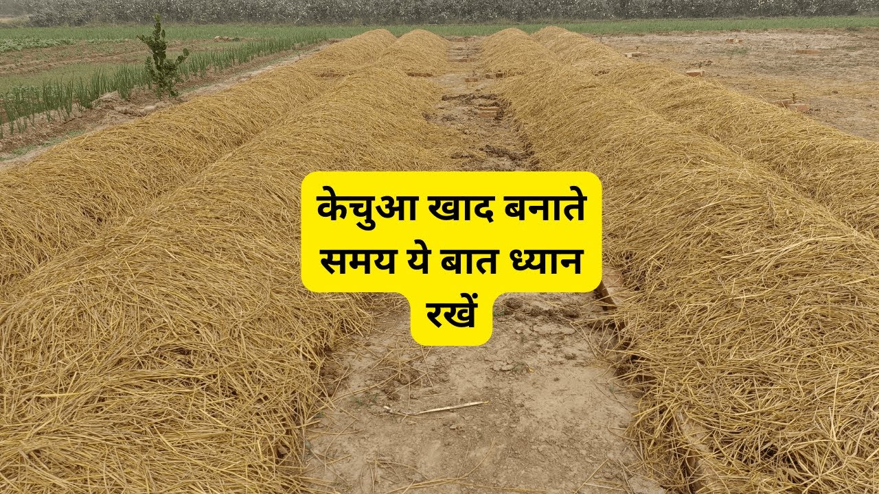 Vermicompost making process | वर्मीकंपोस्ट बनाने की आसान विधि,