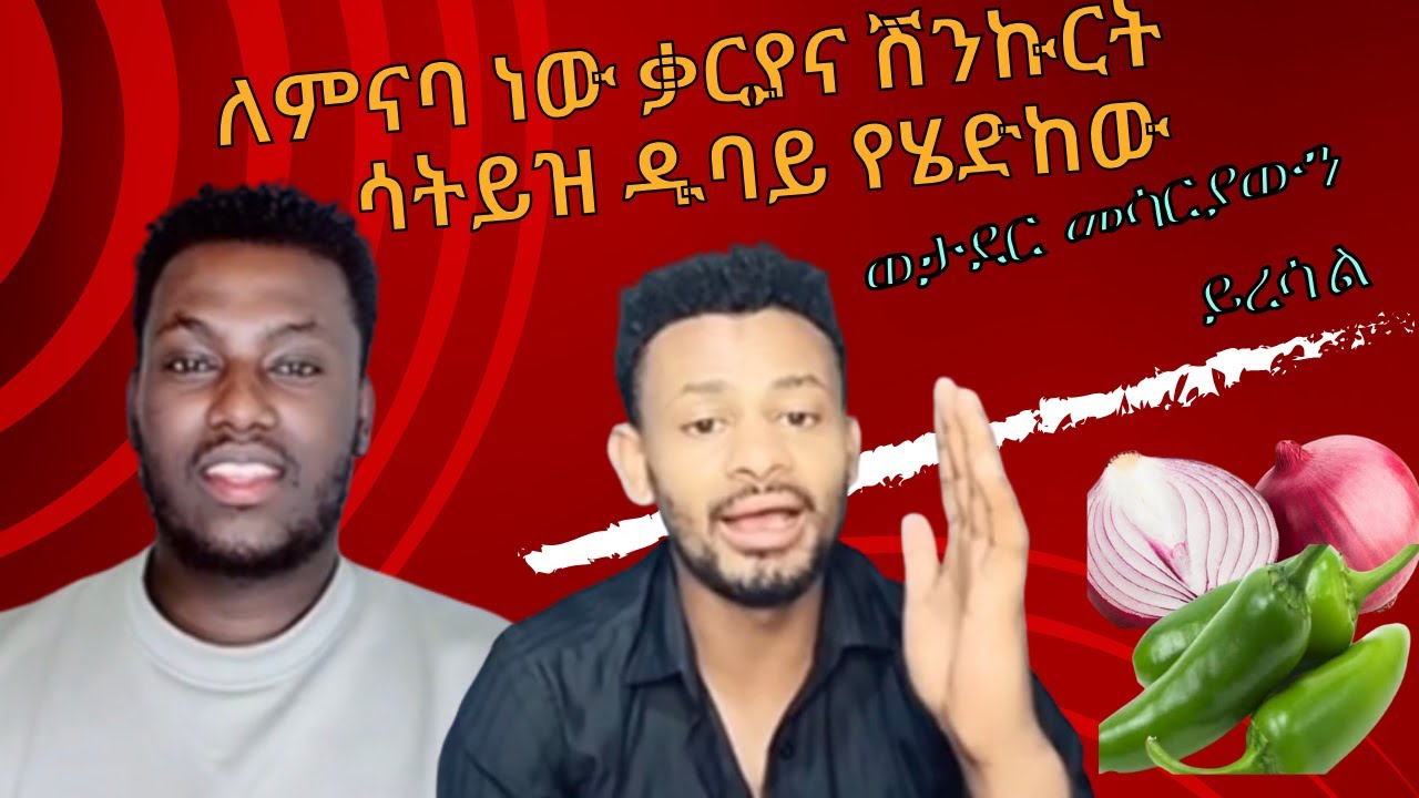 🔴 ምናባህ ነው ቃርያና ሽንኩርት ሳትይዝ ዱባይ የሄድከው🧅 ወታደር መሳርያውን ሳይዝ ዱባይ ይሄዳል 🤣🤣    | ale tube | seifu on ebs | በስንቱ