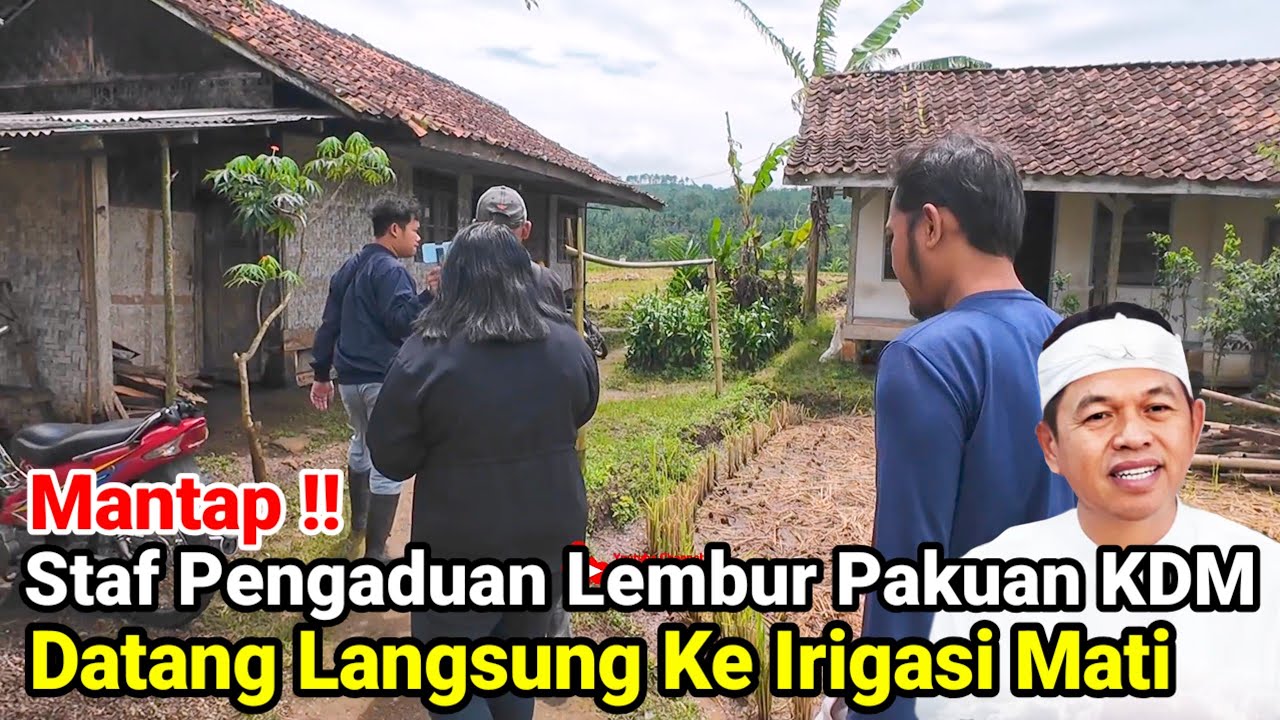 Mantap‼️Staf Pengaduan Lembur Pakuan KDM Datang Langsung Ke Irigasi Mati Puluhan Tahun