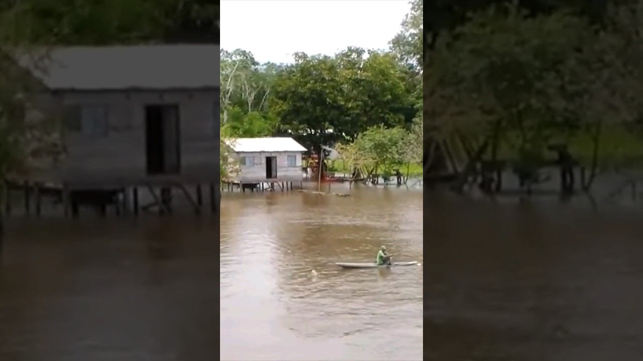Comunidade ribeirinha da Amaz&ocirc;nia e pescadores na margem do rio Purus. Beruri, estado do Amazonas.