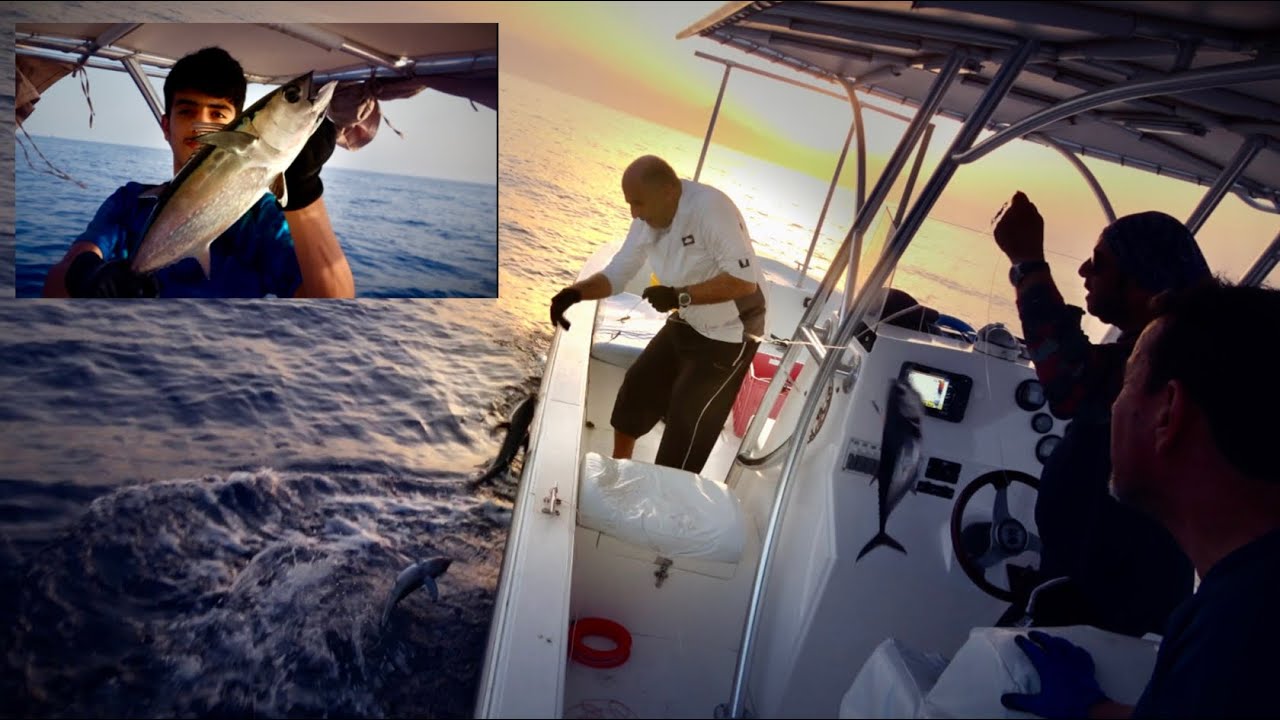 لفاح قباب (التونه)في خورفكان / 3 طلعات / Trolling for tuna in khorfakkan