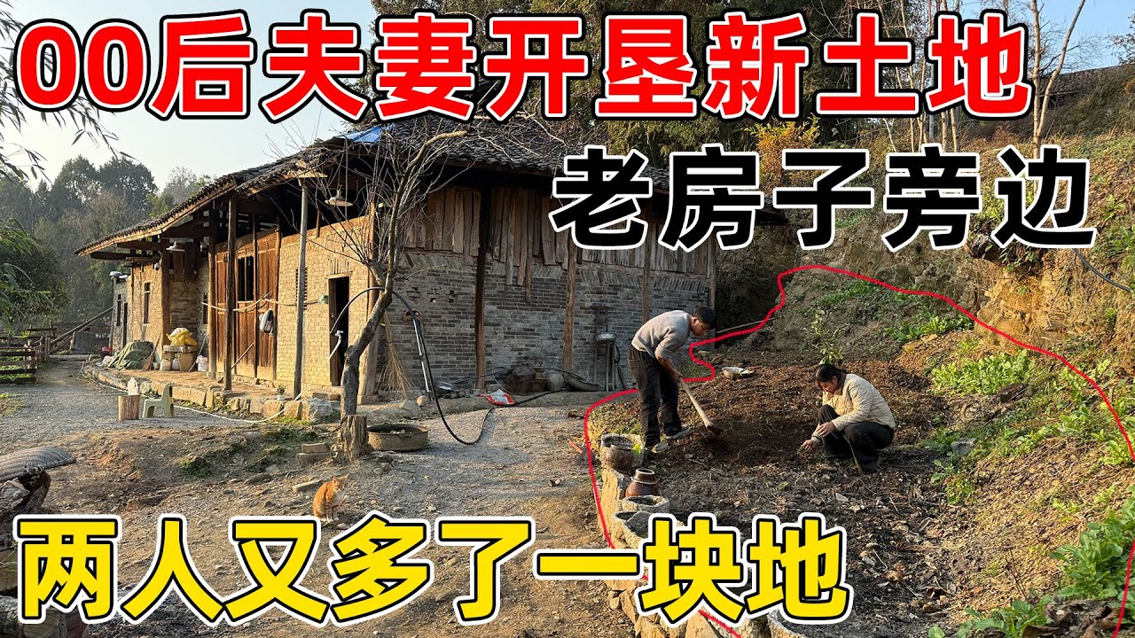 00后夫妻开垦新的土地, 就在老房子的旁边  不管是用来停车还是种菜都很方便, 又多了一块地  太好了!