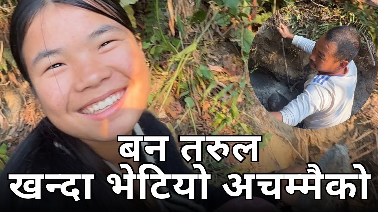 बनतरुल खन्दा ... | HUNTING WILD YAM | #villagelifestyle 