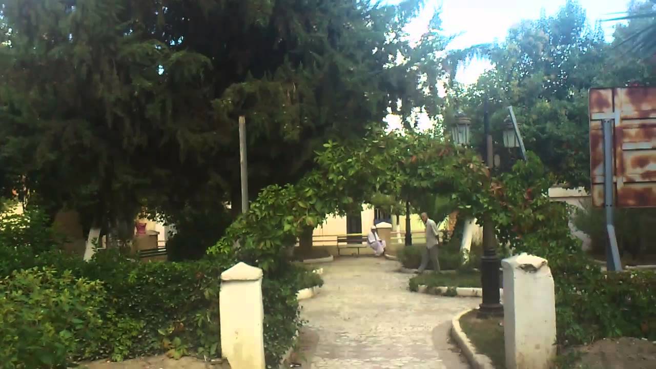 Tazoult